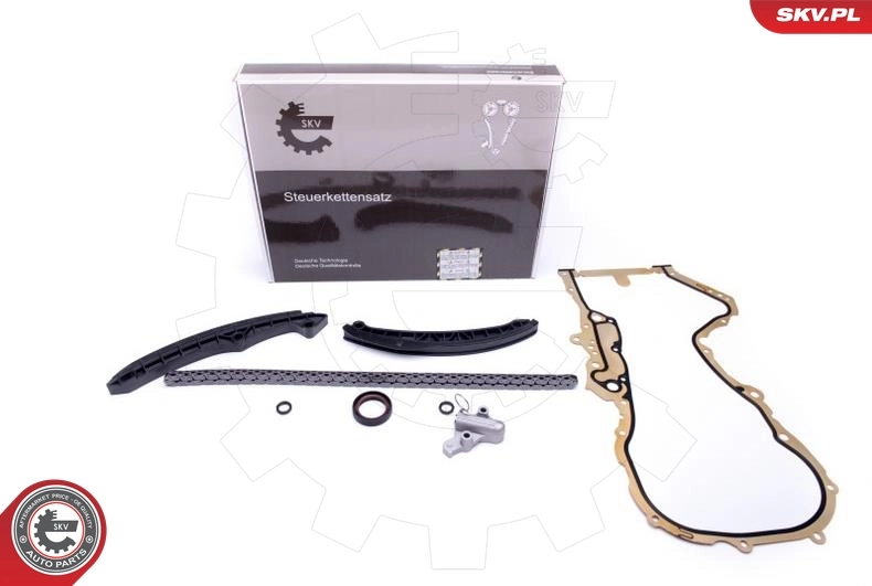 Timing Chain Kit